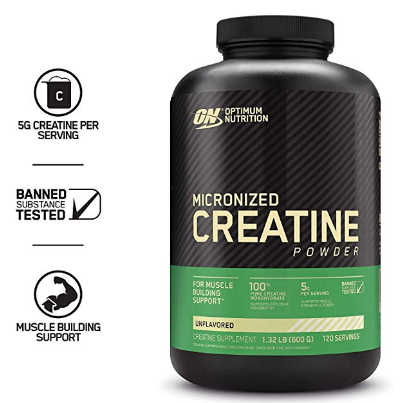 best recovery supplement creatine